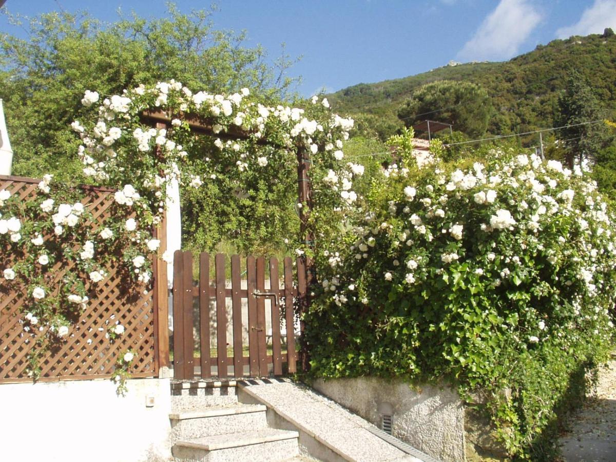 Villa Dei Limoni SantʼAndrea 외부 사진
