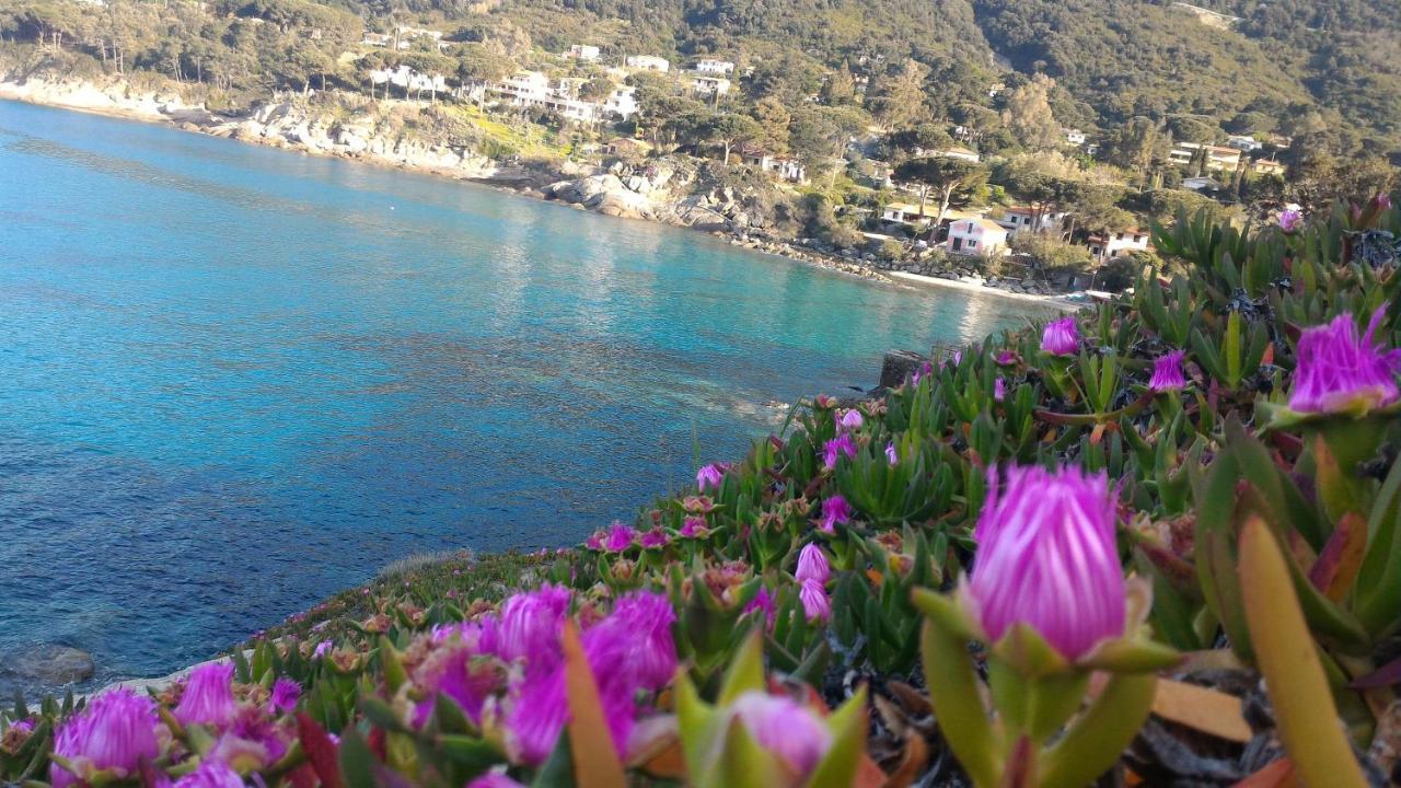 Villa Dei Limoni SantʼAndrea 외부 사진